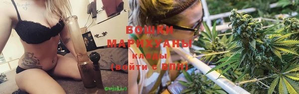 гидропоника Богородицк