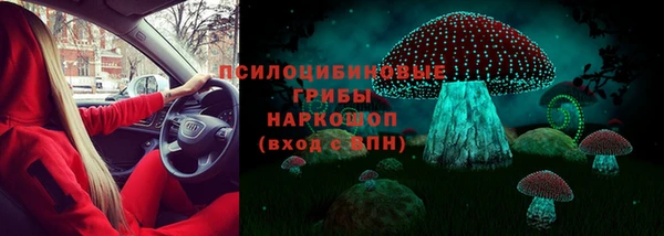 гидропоника Богородицк