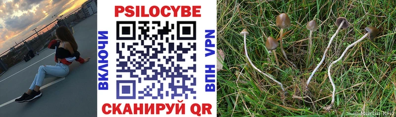 Купить  Покровск  Псилоцибиновые грибы Cubensis 